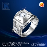 Nhẫn Kim Cương Vàng Trắng 18K