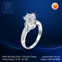 Nhẫn Kim Cương Vàng Trắng 18K